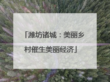 潍坊诸城：美丽乡村催生美丽经济