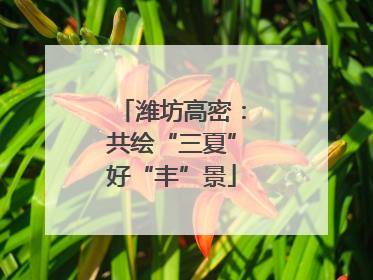 潍坊高密：共绘“三夏”好“丰”景