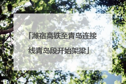 潍宿高铁至青岛连接线青岛段开始架梁