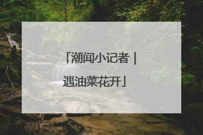 潮闻小记者｜遇油菜花开