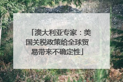 澳大利亚专家：美国关税政策给全球贸易带来不确定性