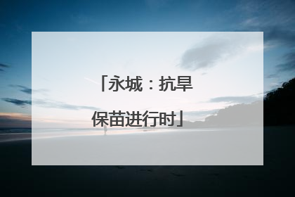 永城：抗旱保苗进行时