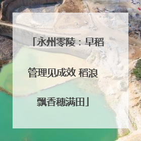 永州零陵：早稻管理见成效 稻浪飘香穗满田