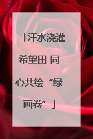 汗水浇灌希望田 同心共绘“绿画卷”