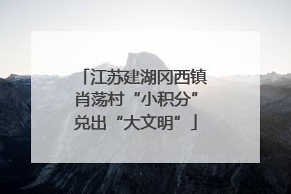 江苏建湖冈西镇肖荡村“小积分”兑出“大文明”