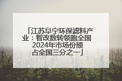 江苏阜宁环保滤料产业：智改数转领跑全国 2024年市场份额占全国三分之一