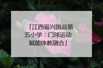 江西省兴国县第五小学：门球运动赋能体教融合