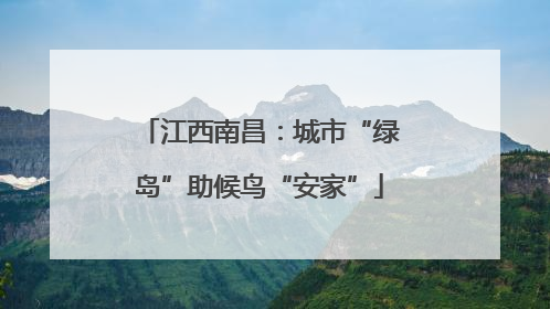 江西南昌：城市“绿岛”助候鸟“安家”