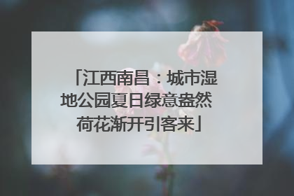 江西南昌：城市湿地公园夏日绿意盎然 荷花渐开引客来