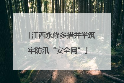 江西永修多措并举筑牢防汛“安全网”