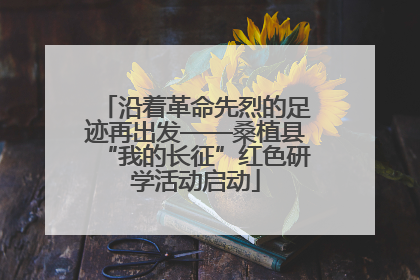 沿着革命先烈的足迹再出发——桑植县“我的长征”红色研学活动启动