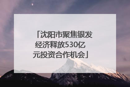 沈阳市聚焦银发经济释放530亿元投资合作机会
