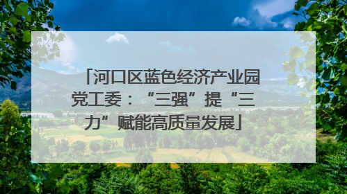 河口区蓝色经济产业园党工委：“三强”提“三力”赋能高质量发展