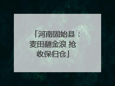 河南固始县：麦田翻金浪 抢收保归仓