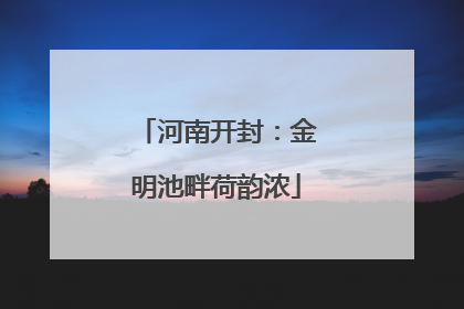 河南开封：金明池畔荷韵浓