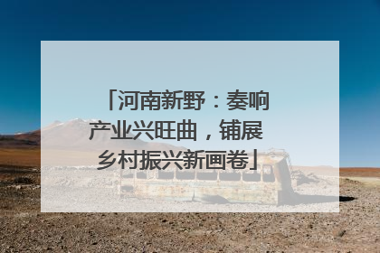 河南新野：奏响产业兴旺曲，铺展乡村振兴新画卷