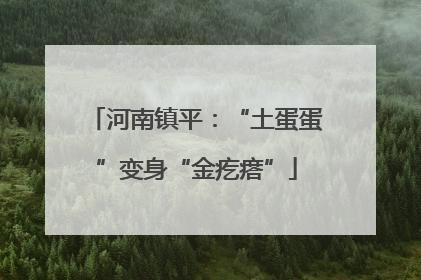 河南镇平：“土蛋蛋”变身“金疙瘩”