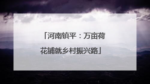 河南镇平：万亩荷花铺就乡村振兴路