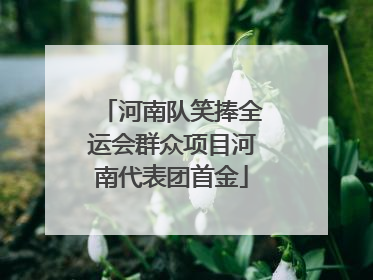 河南队笑捧全运会群众项目河南代表团首金