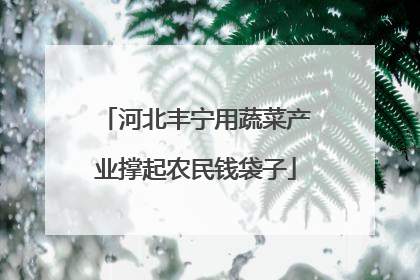 河北丰宁用蔬菜产业撑起农民钱袋子
