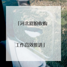 河北夏粮收购工作高效推进