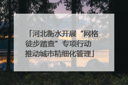 河北衡水开展“网格徒步踏查”专项行动 推动城市精细化管理