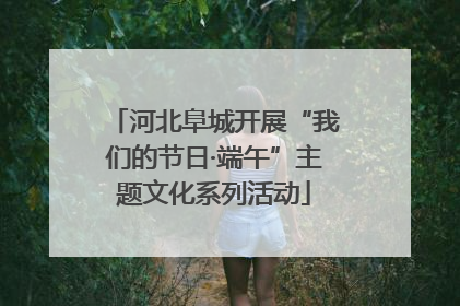 河北阜城开展“我们的节日·端午”主题文化系列活动