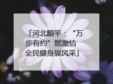 河北顺平：“万步有约”燃激情 全民健身展风采