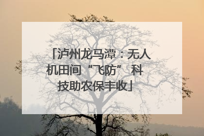 泸州龙马潭：无人机田间“飞防” 科技助农保丰收