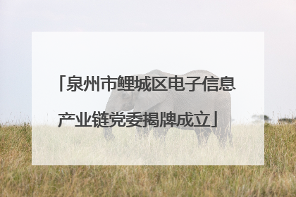 泉州市鲤城区电子信息产业链党委揭牌成立