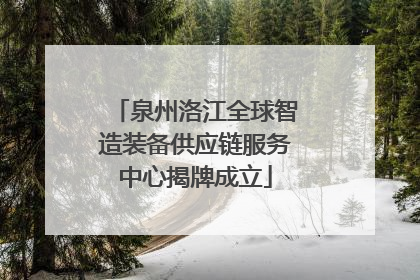 泉州洛江全球智造装备供应链服务中心揭牌成立