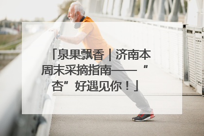 泉果飘香｜济南本周末采摘指南——“杏”好遇见你！