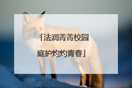 法润菁菁校园 庭护灼灼青春