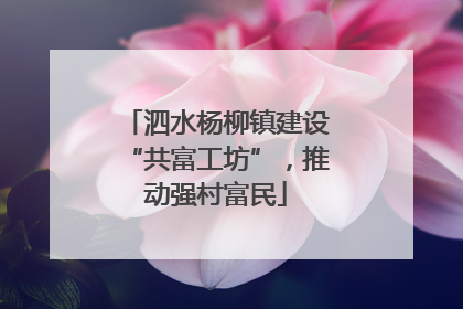 泗水杨柳镇建设“共富工坊”，推动强村富民