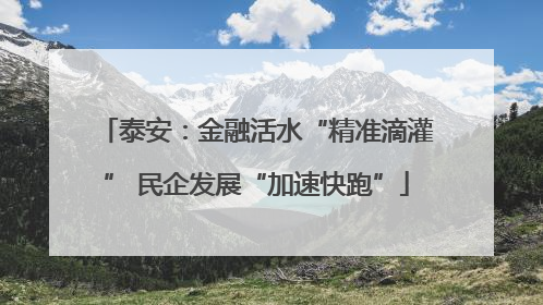 泰安：金融活水“精准滴灌” 民企发展“加速快跑”