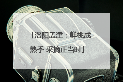 洛阳孟津：鲜桃成熟季 采摘正当时
