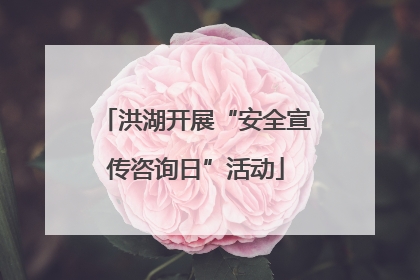 洪湖开展“安全宣传咨询日”活动