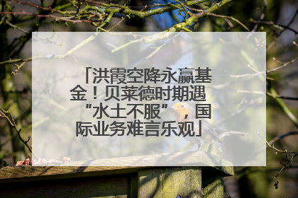洪霞空降永赢基金！贝莱德时期遇“水土不服”，国际业务难言乐观