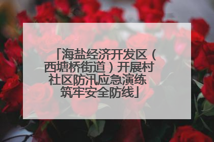 海盐经济开发区（西塘桥街道）开展村社区防汛应急演练 筑牢安全防线