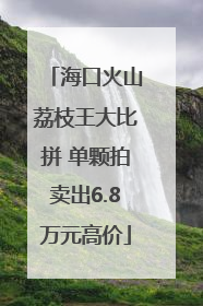 海口火山荔枝王大比拼 单颗拍卖出6.8万元高价
