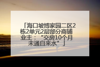 海口坡博家园二区2栋2单元2层部分商铺业主：“交房10个月未通自来水”