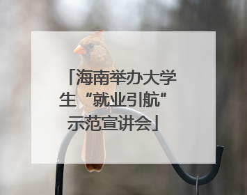 海南举办大学生“就业引航”示范宣讲会