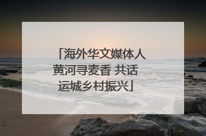 海外华文媒体人黄河寻麦香 共话运城乡村振兴