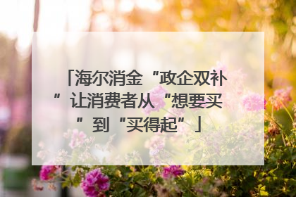 海尔消金“政企双补”让消费者从“想要买”到“买得起”