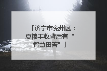 济宁市兖州区：夏粮丰收背后有“智慧田管”