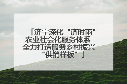 济宁深化“济时雨”农业社会化服务体系 全力打造服务乡村振兴“供销样板”