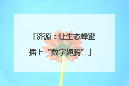 济源：让生态蜂蜜插上“数字翅膀”