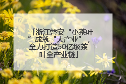 浙江磐安“小茶叶”成就“大产业”，全力打造50亿级茶叶全产业链
