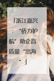 浙江嘉兴：“侨力护航”助企高质量“出海”