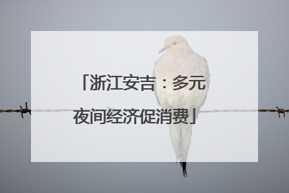 浙江安吉：多元夜间经济促消费